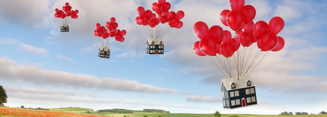 Huizen die vast zitten aan ballonnen en over een bloemenveld vliegen